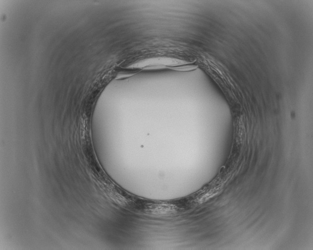 X0000060580463200512011737