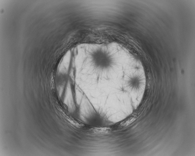 X0000060580465200512011737