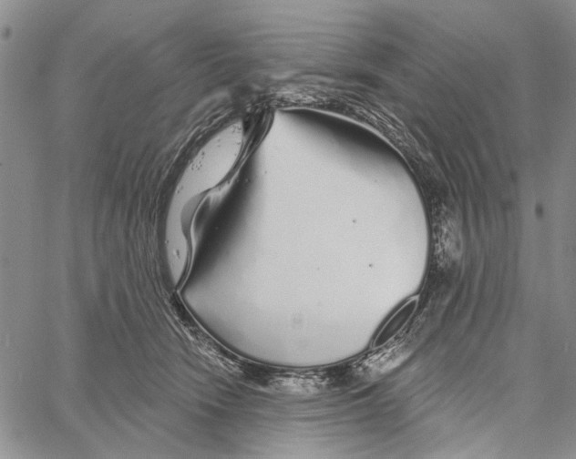 X0000060580466200512011737