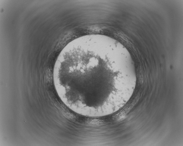 X0000060580467200512011737