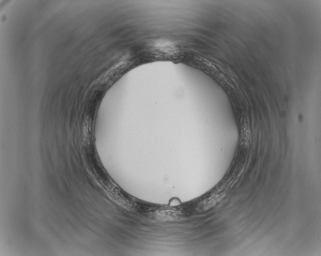 X0000060580468200512011737