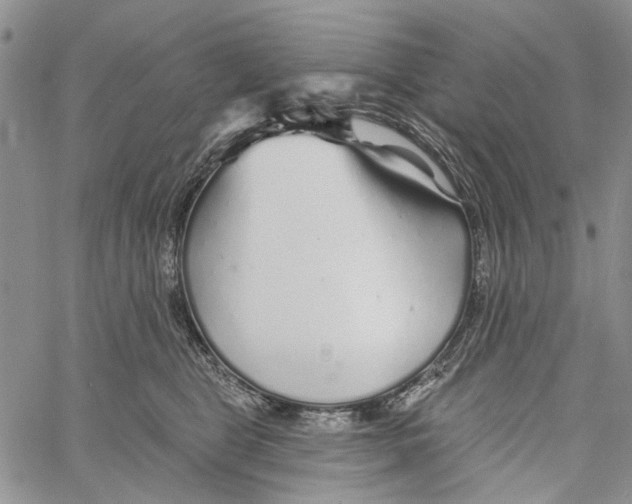 X0000060580469200512011737