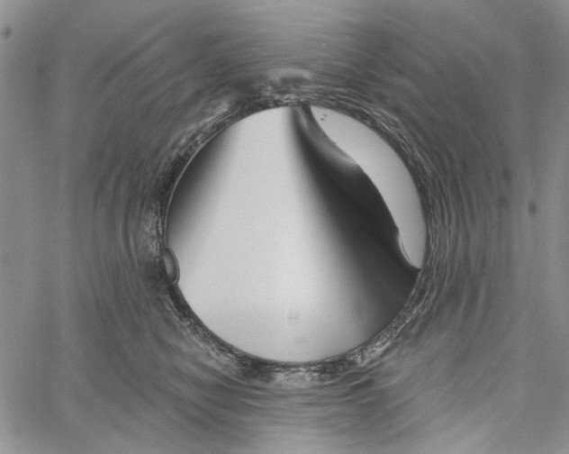 X0000060580470200512011737