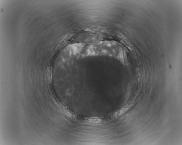 X0000060580471200512011737