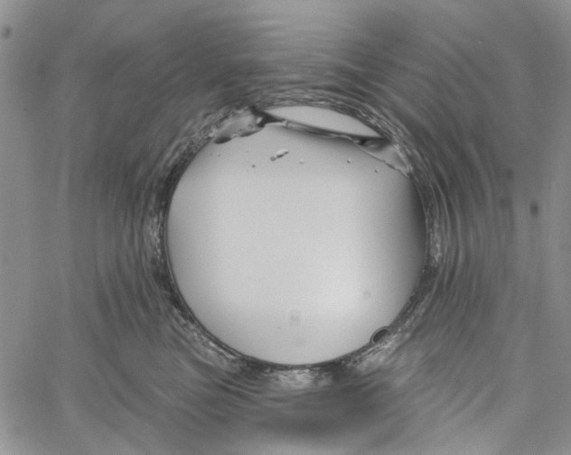 X0000060580473200512011737