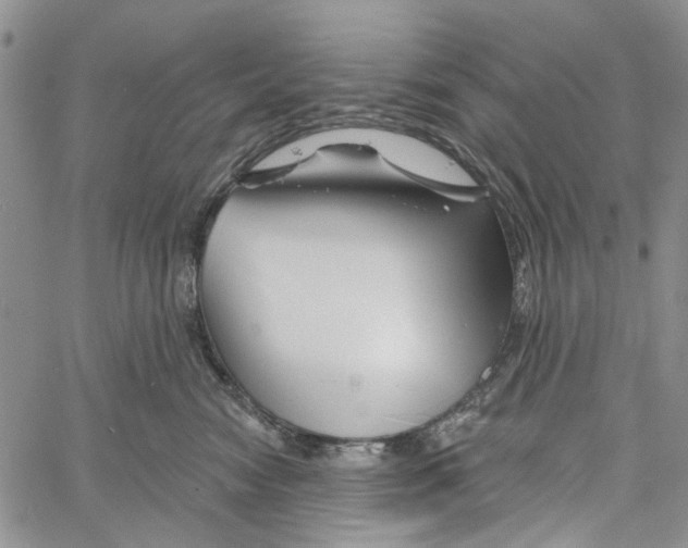 X0000060580474200512011737