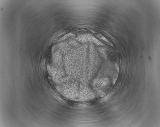 X0000060580475200512011737