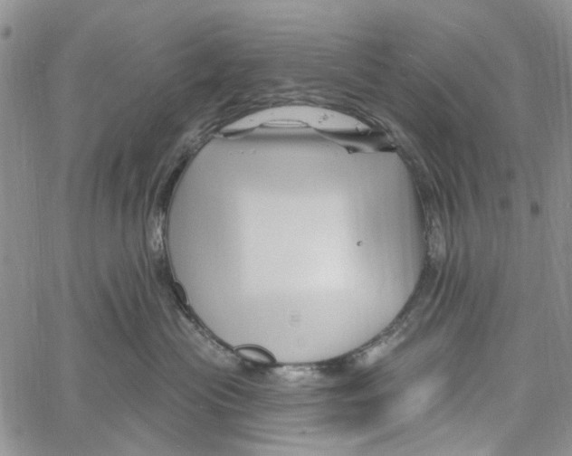 X0000060580477200512011737