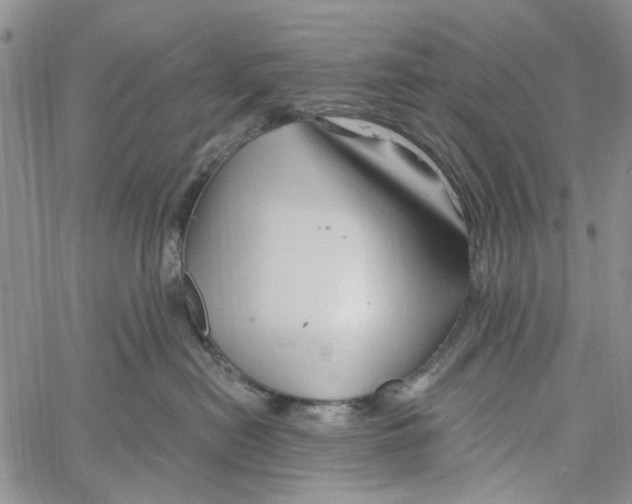 X0000060580478200512011737