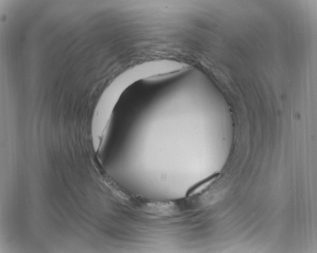 X0000060580480200512011737