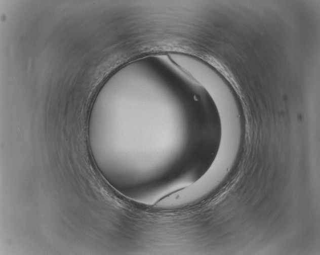 X0000060580481200512011737