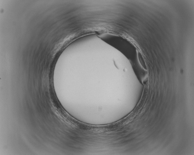 X0000060580482200512011737