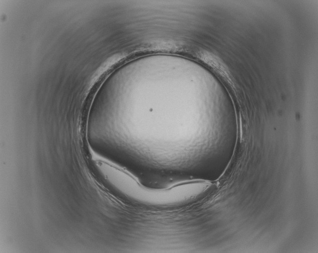 X0000060580483200512011737