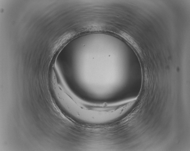 X0000060580485200512011736