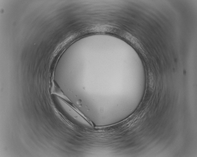 X0000060580486200512011736