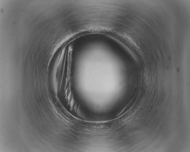 X0000060580488200512011736