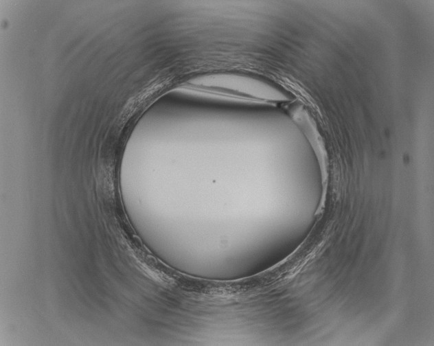 X0000060580489200512011736