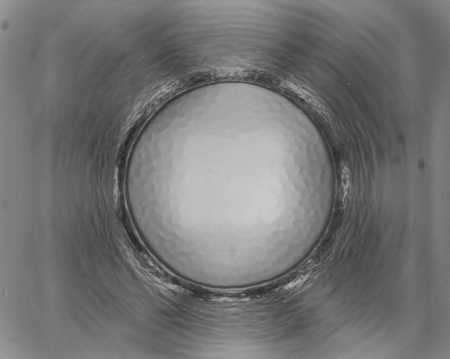 X0000060580494200512011736