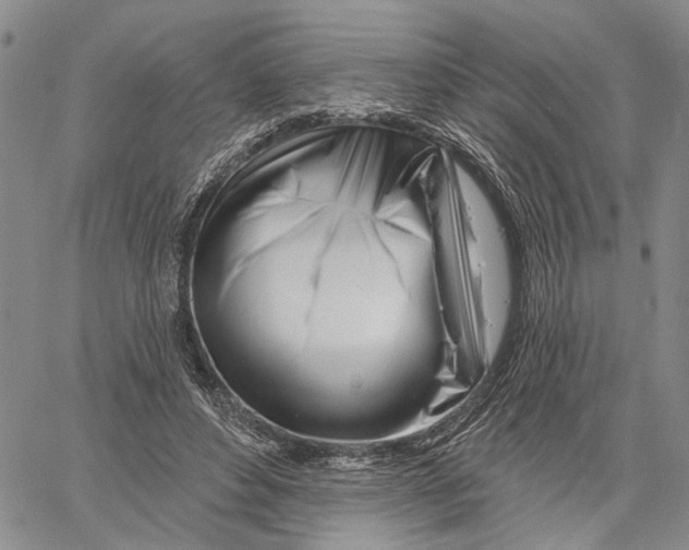 X0000060580496200512011736