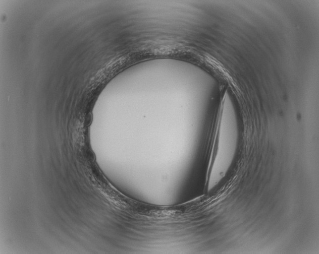 X0000060580497200512011736