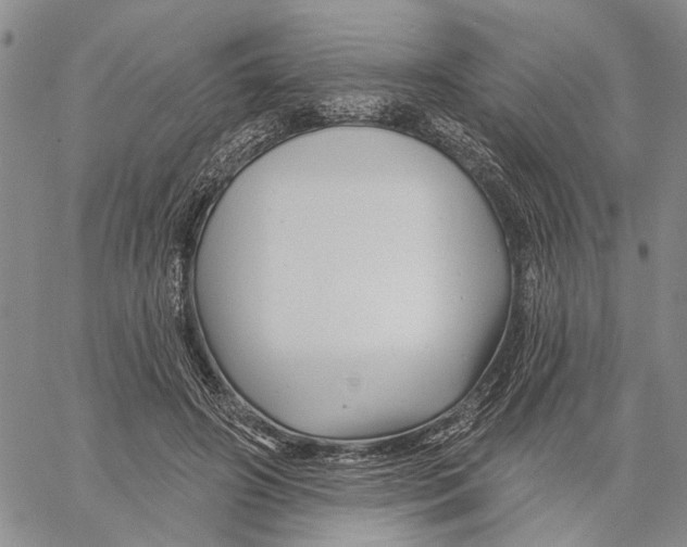 X0000060580498200512011736