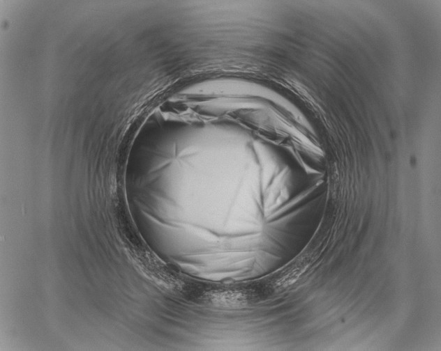 X0000060580500200512011736