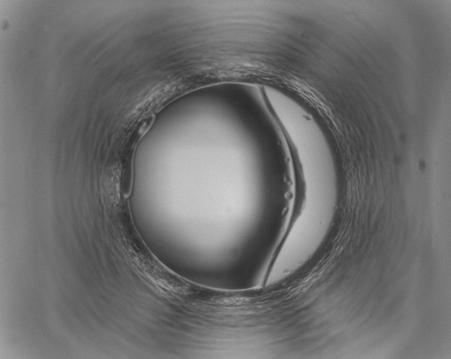 X0000060580501200512011736