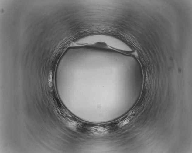 X0000060580502200512011736