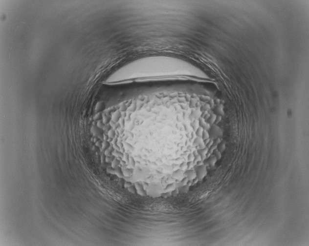 X0000060580503200512011736