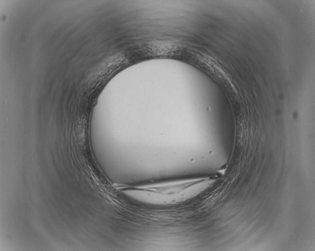 X0000060580505200512011736