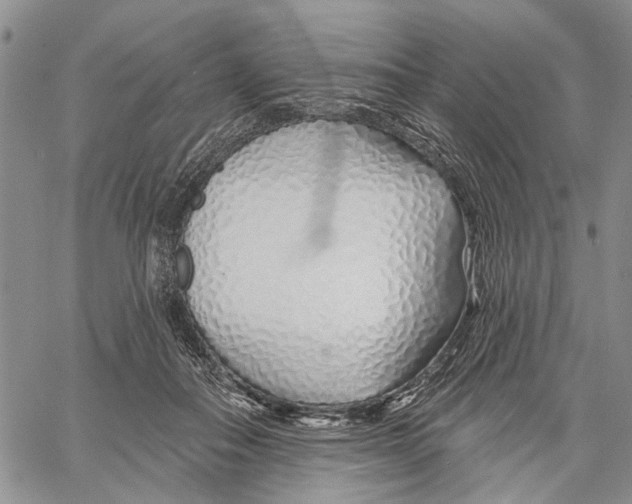 X0000060580506200512011736