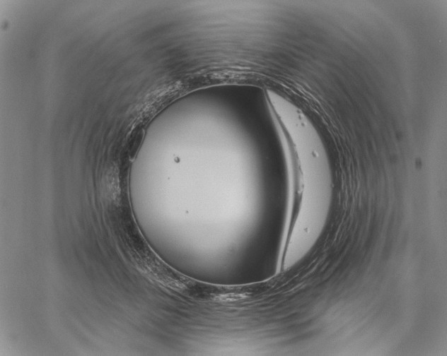 X0000060580508200512011736