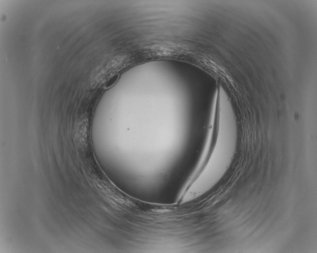 X0000060580509200512011736