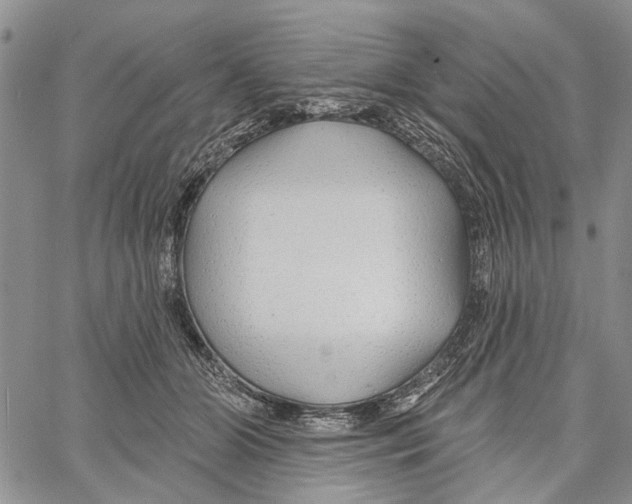 X0000060580510200512011736