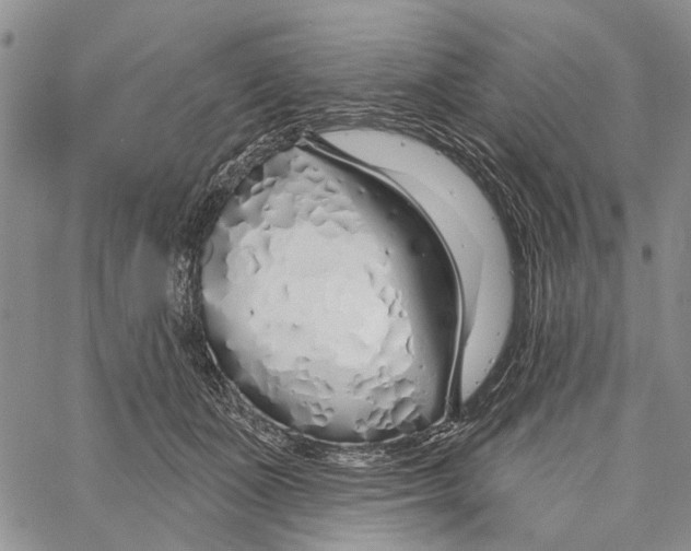 X0000060580511200512011736