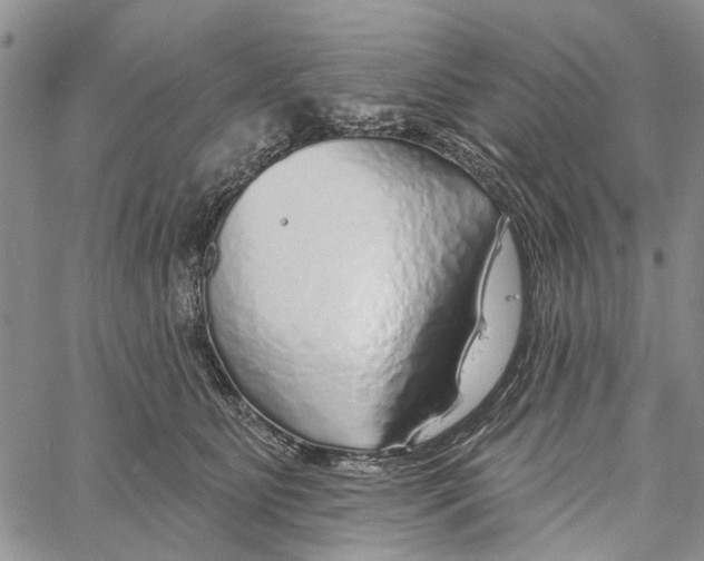 X0000060580515200512011736