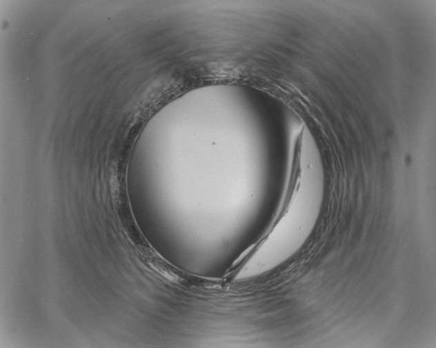 X0000060580516200512011736