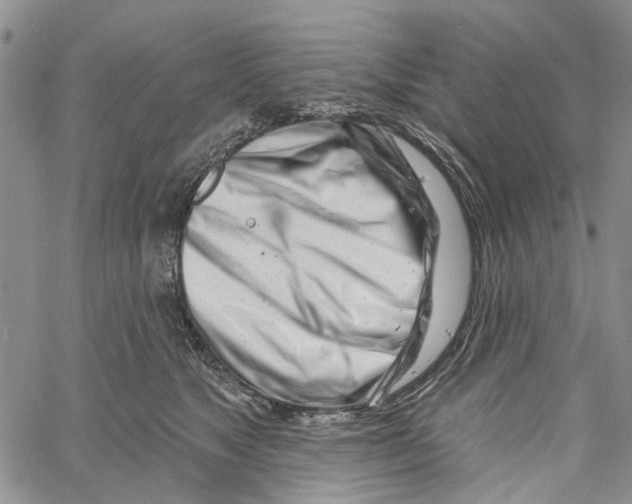 X0000060580517200512011736