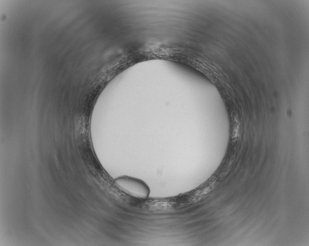 X0000060580518200512011736