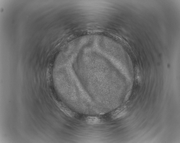 X0000060580519200512011736