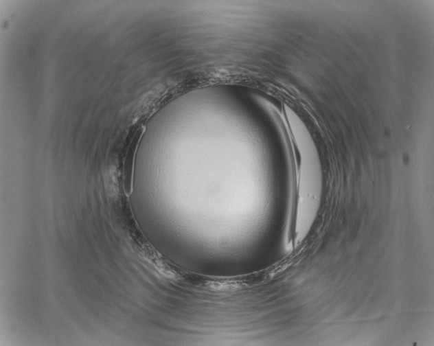 X0000060580520200512011736