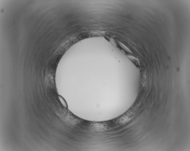 X0000060580522200512011736