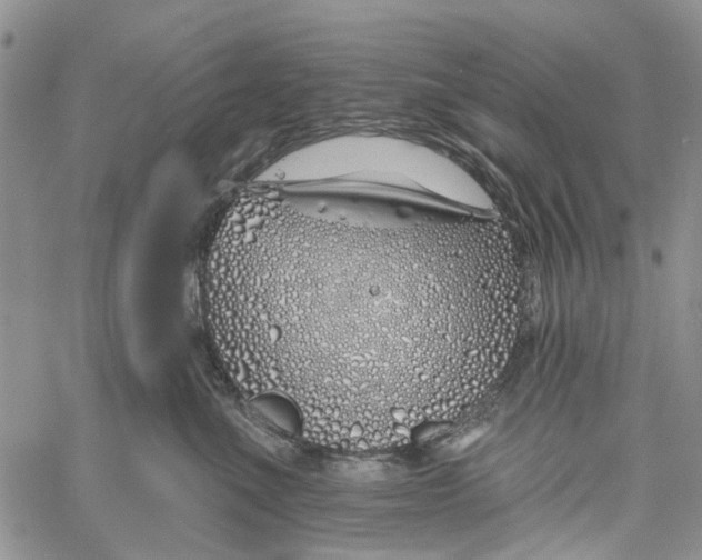 X0000060580523200512011736