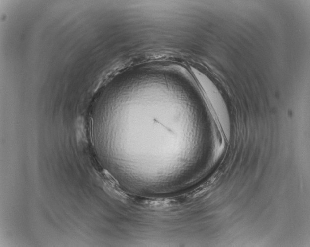 X0000060580524200512011736