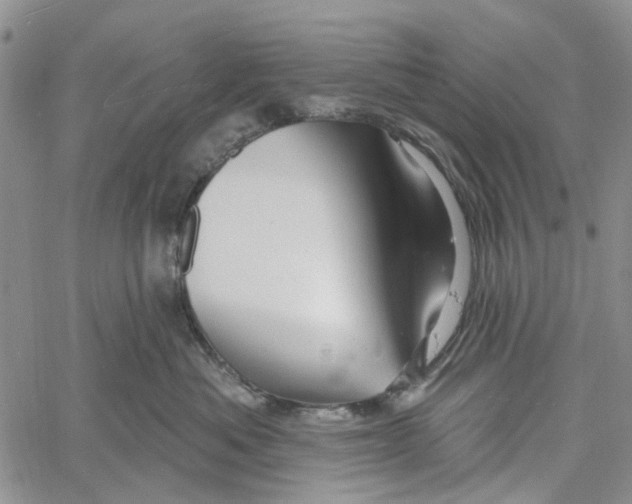 X0000060580525200512011736