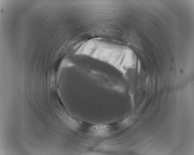 X0000060580526200512011736