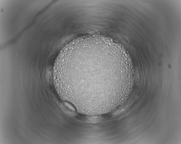 X0000060580527200512011736