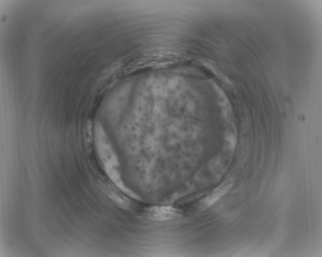 X0000060580528200512011736