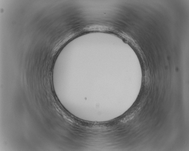 X0000060580529200512011735