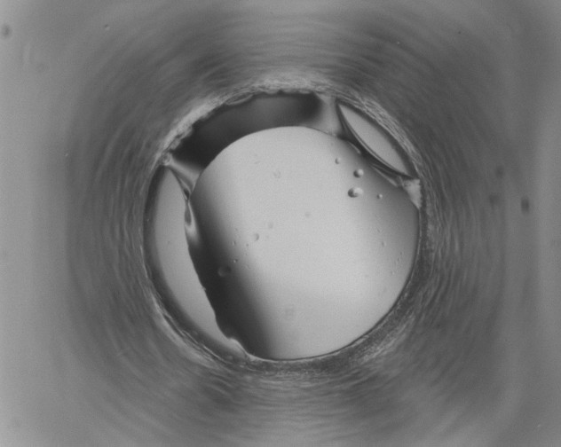 X0000060580530200512011735